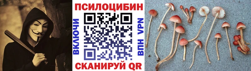 Галлюциногенные грибы мицелий  Нягань 